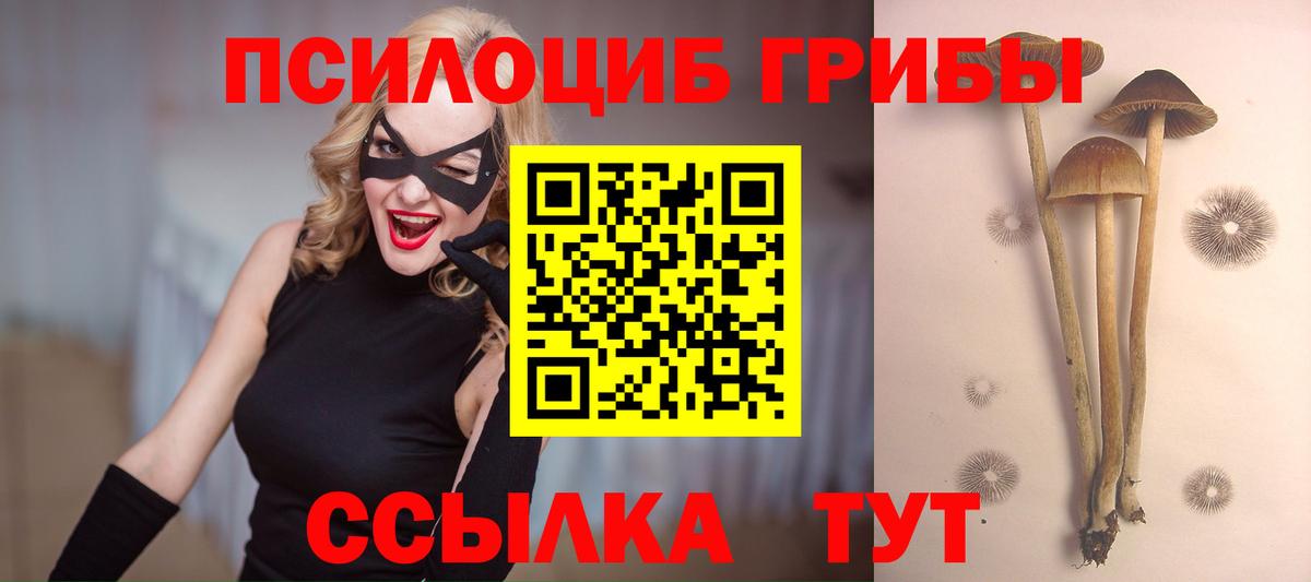 Галлюциногенные грибы Psilocybine cubensis  как найти наркотики  Гусь-Хрустальный  Вход с VPN 
